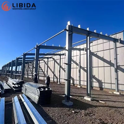 Excellentie in de kijker: Magazijnproject voor staalconstructies in Argentinië